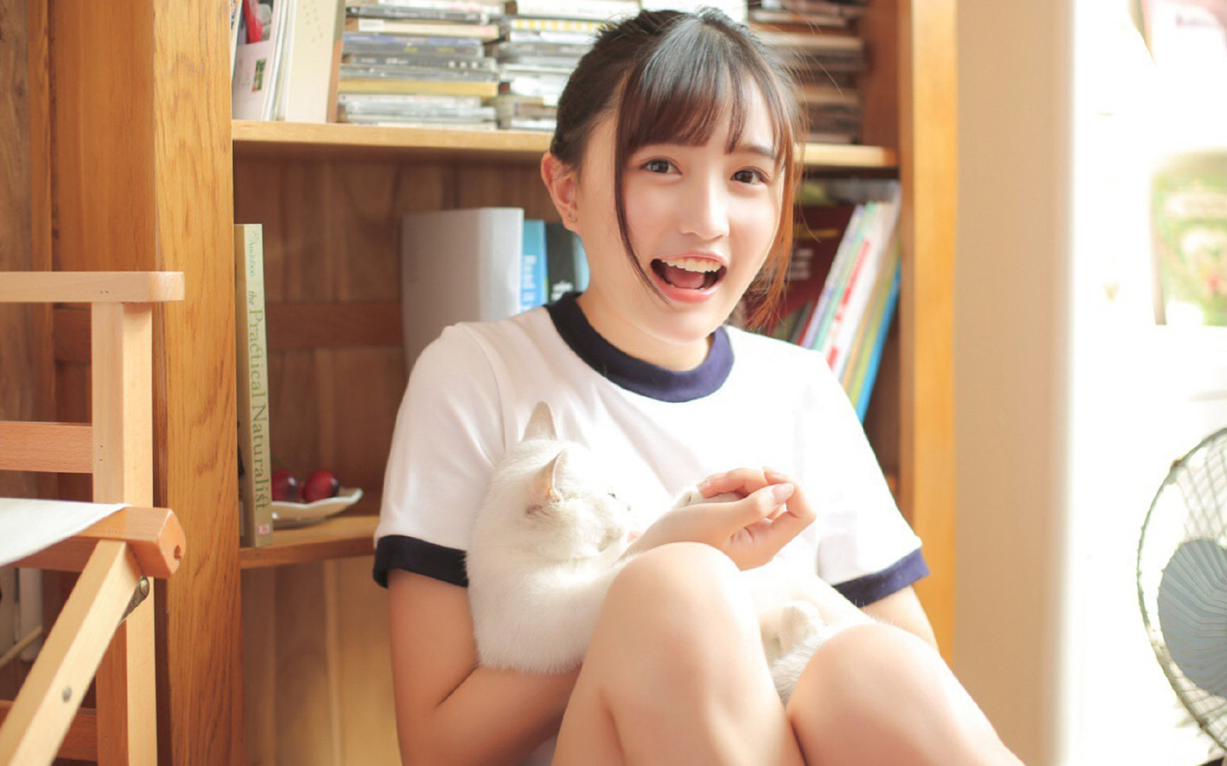 2026世界杯之夜，库里关键制胜，篮球与足球的时空交错