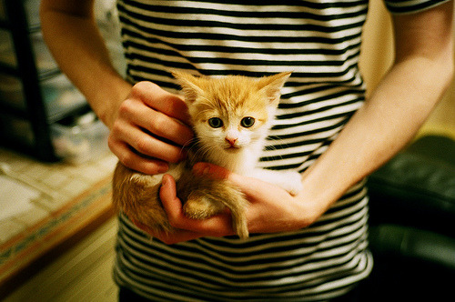 双雄记，当老鹰险胜广东队，欧文于抢七夜接管比赛